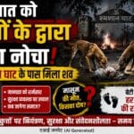 नवजात को पत्थरों के बीच गया फेंका, कुत्तों ने नोचा, शमशान घाट के पास मिला शव