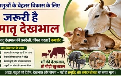 पशुओं के बेहतर विकास के लिए जरूरी है मातृ देखभाल, कृत्रिम करता है कमजोर
