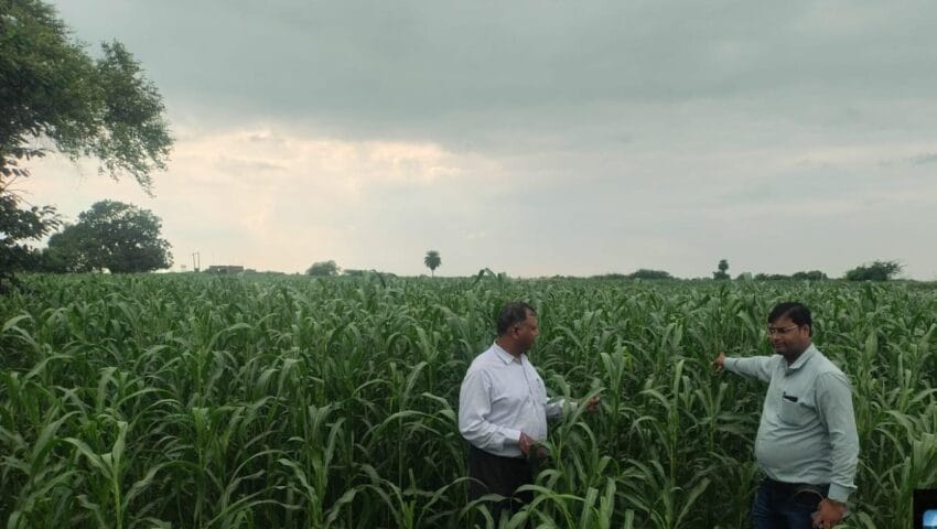 किसान समृद्धि योजना के तहत बाजरा फसल का हुआ स्थलीय सत्यापन, अधिकारियों ने किसानों को दिए जरूरी सुझाव