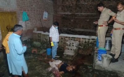 हमीरपुर : कलयुगी बेटे ने मां का सिर कूंचकर की निर्मम हत्या, 13 साल पहले भाई की भी डंडों से पीट कर की थी हत्या