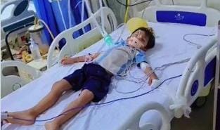 संभल में सांप के काटने पर बच्चे को लगाया कुत्ते के काटने का इंजेक्शन! 4 साल का मासूम ICU में भर्ती
